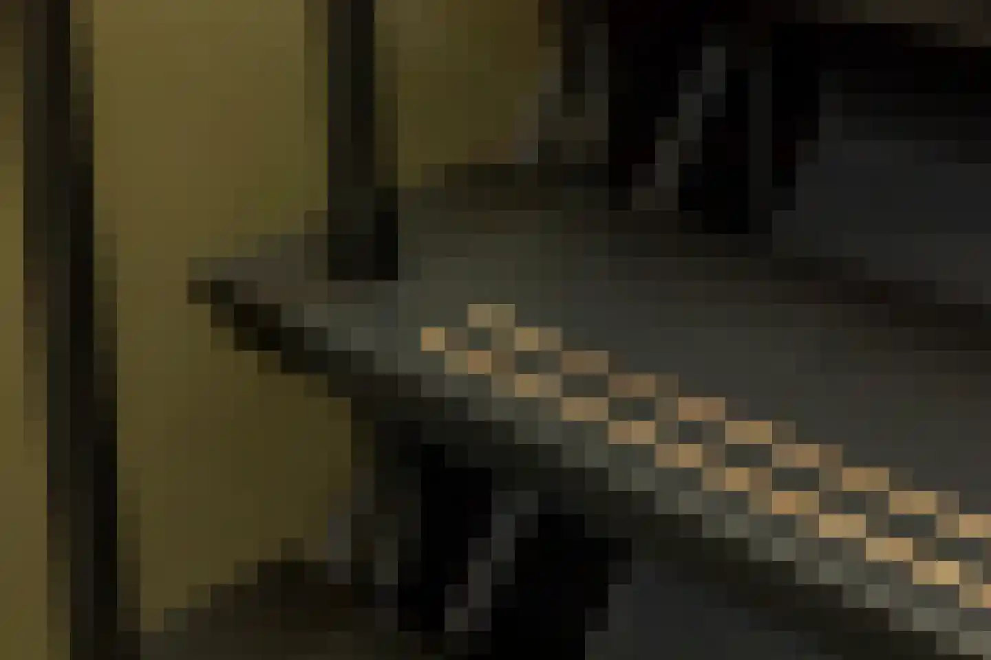 Binnendijk 3 Wemeldinge thumbnail 59