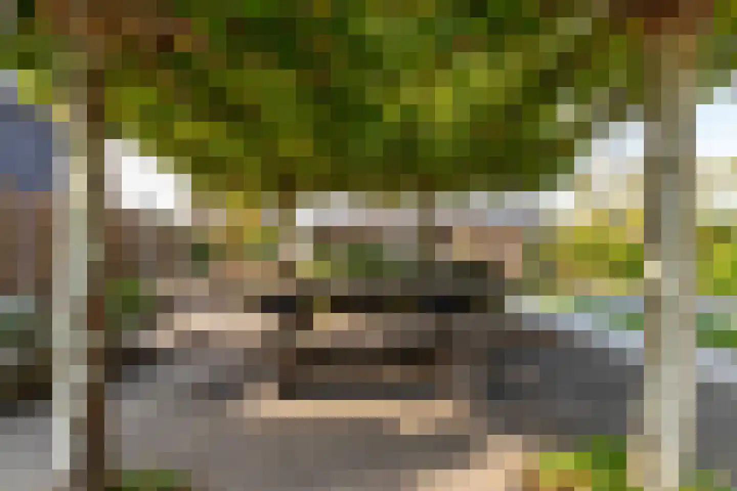 Binnendijk 3 Wemeldinge thumbnail 6