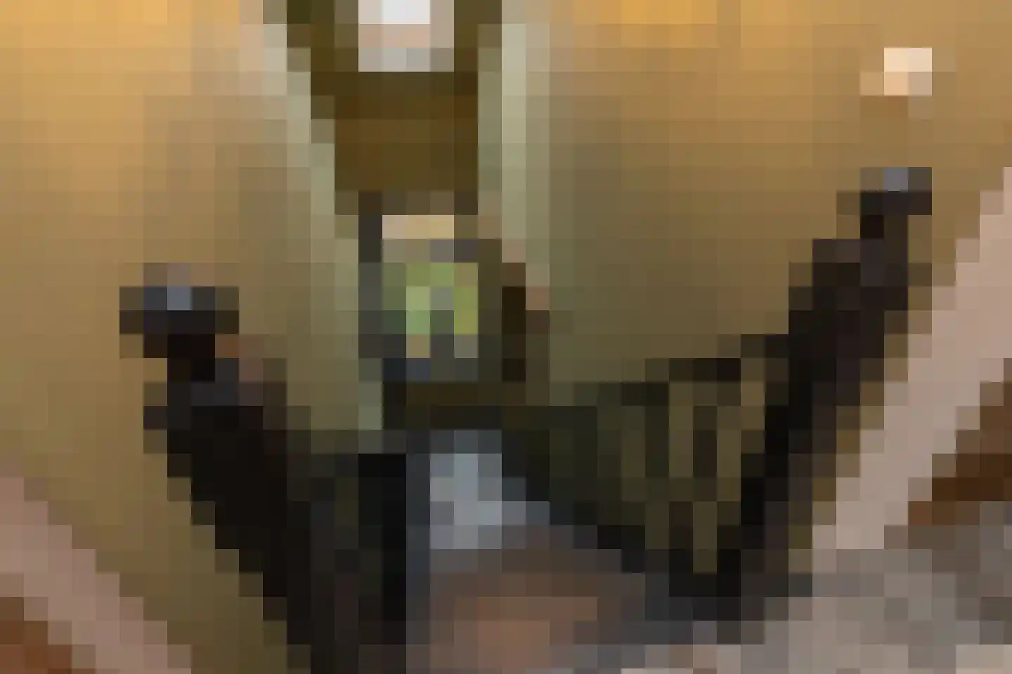 Binnendijk 3 Wemeldinge thumbnail 60