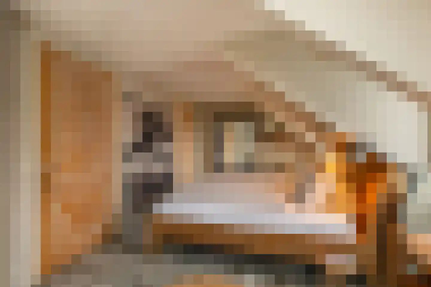 Binnendijk 3 Wemeldinge thumbnail 64