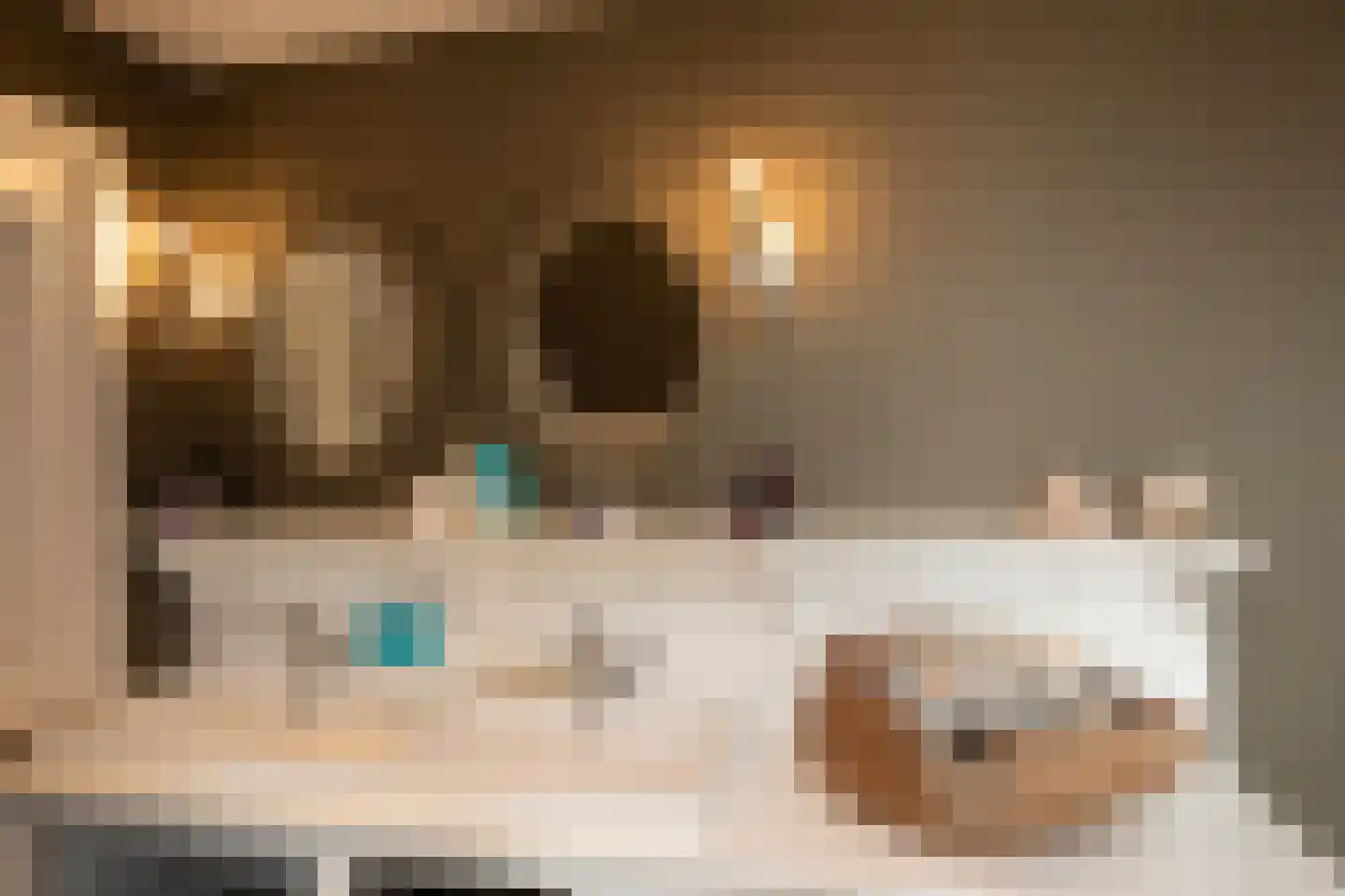 Binnendijk 3 Wemeldinge thumbnail 68