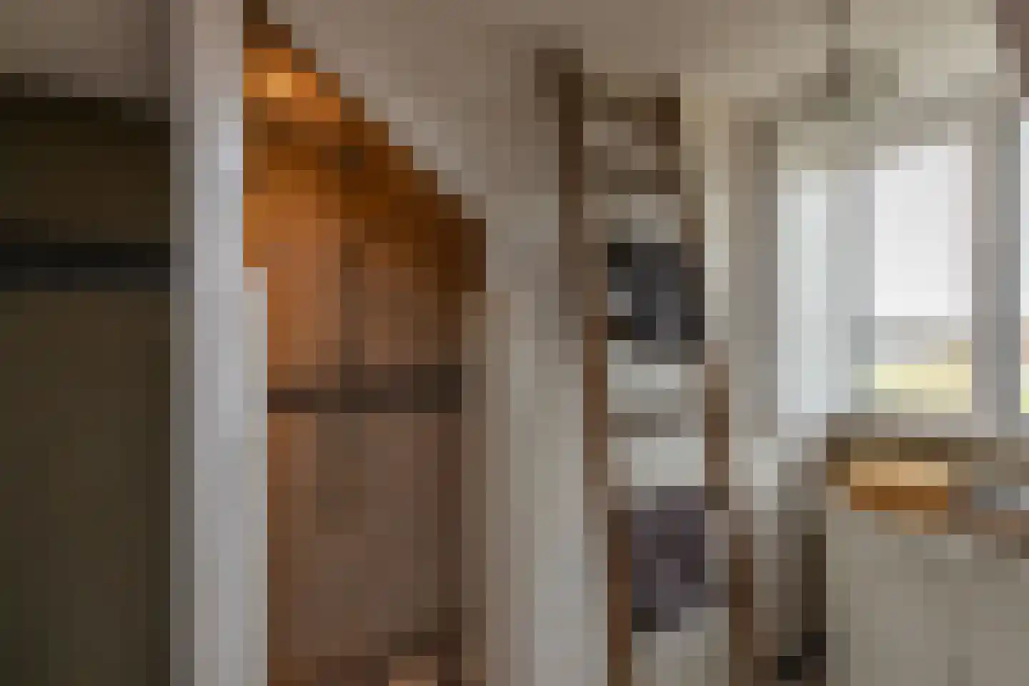 Binnendijk 3 Wemeldinge thumbnail 70