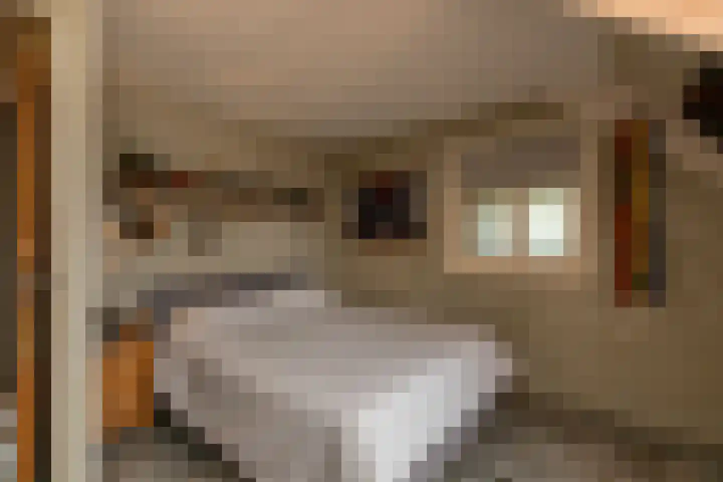 Binnendijk 3 Wemeldinge thumbnail 76