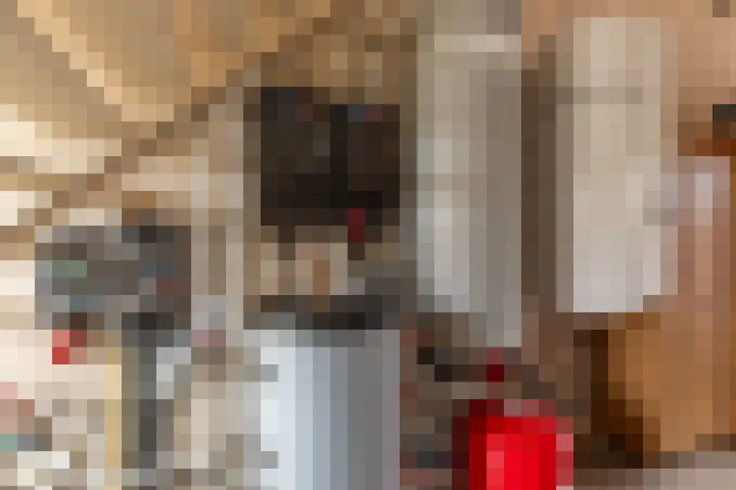 Binnendijk 3 Wemeldinge thumbnail 86