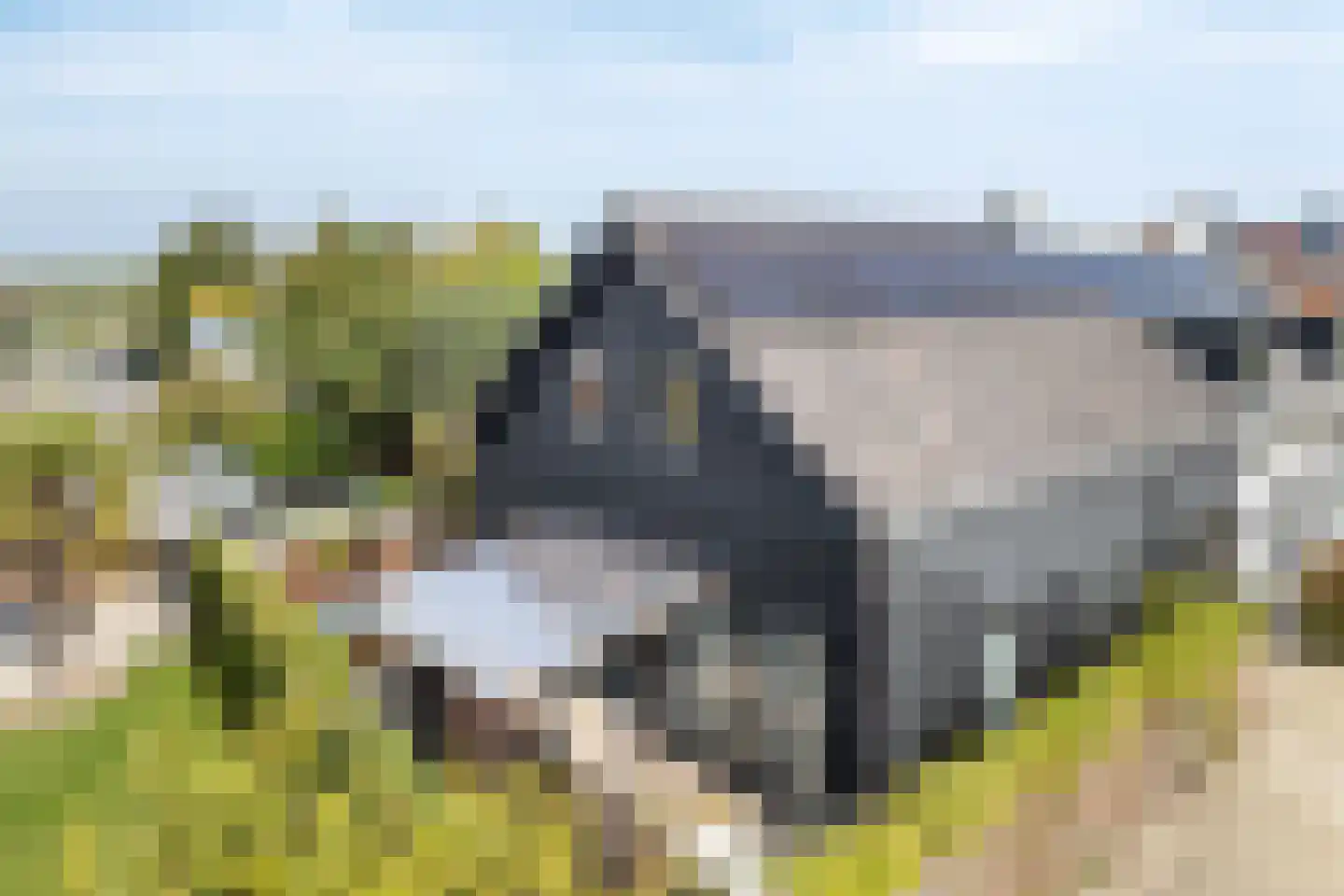 Binnendijk 3 Wemeldinge thumbnail 92