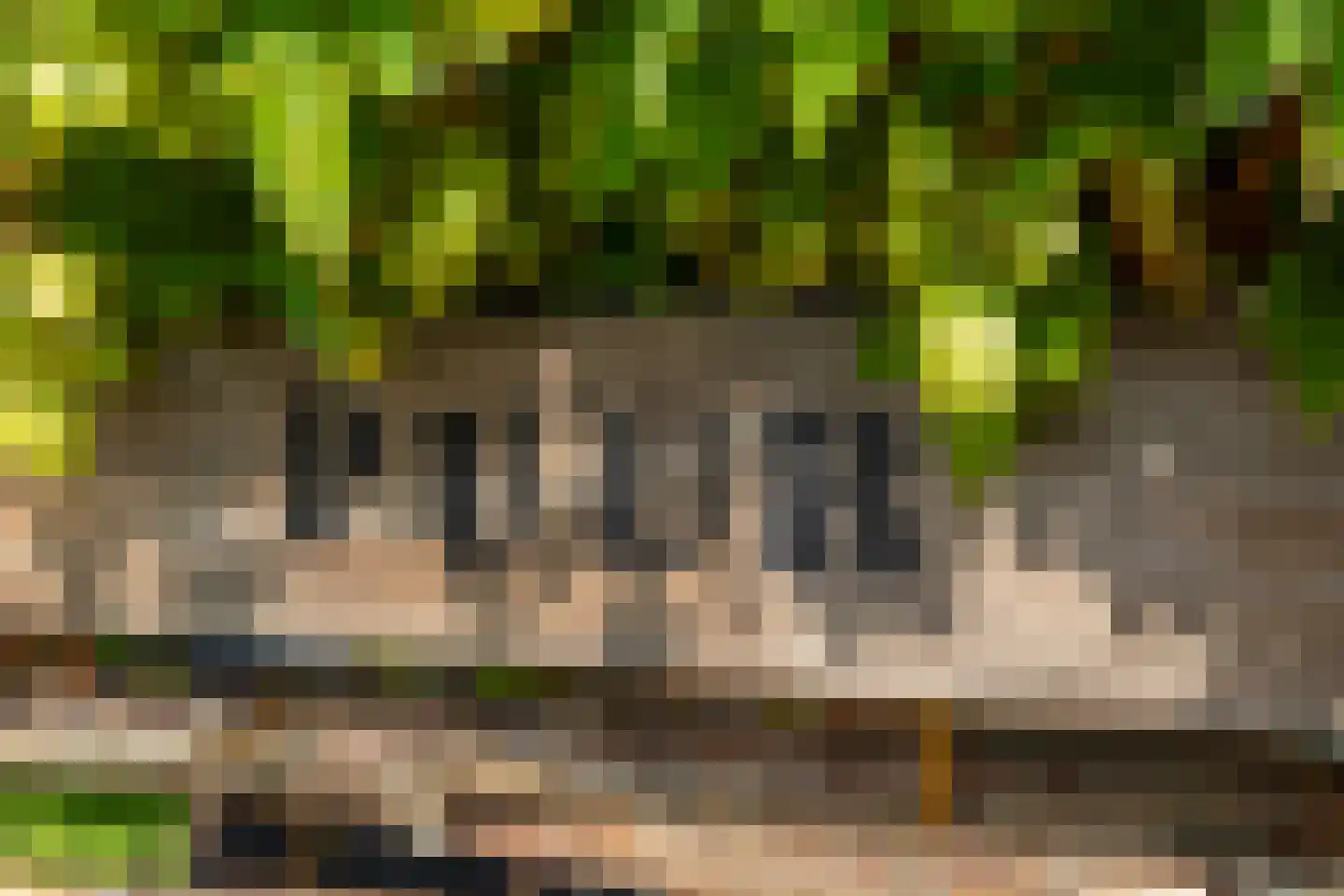 Binnendijk 3 Wemeldinge thumbnail 94