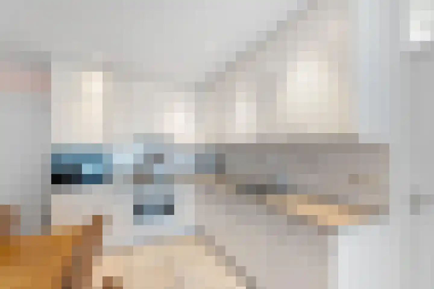 Binnendijk 32 Huissen thumbnail 11