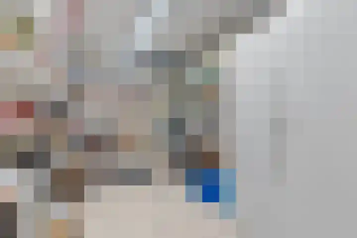 Binnendijk 32 Huissen thumbnail 12