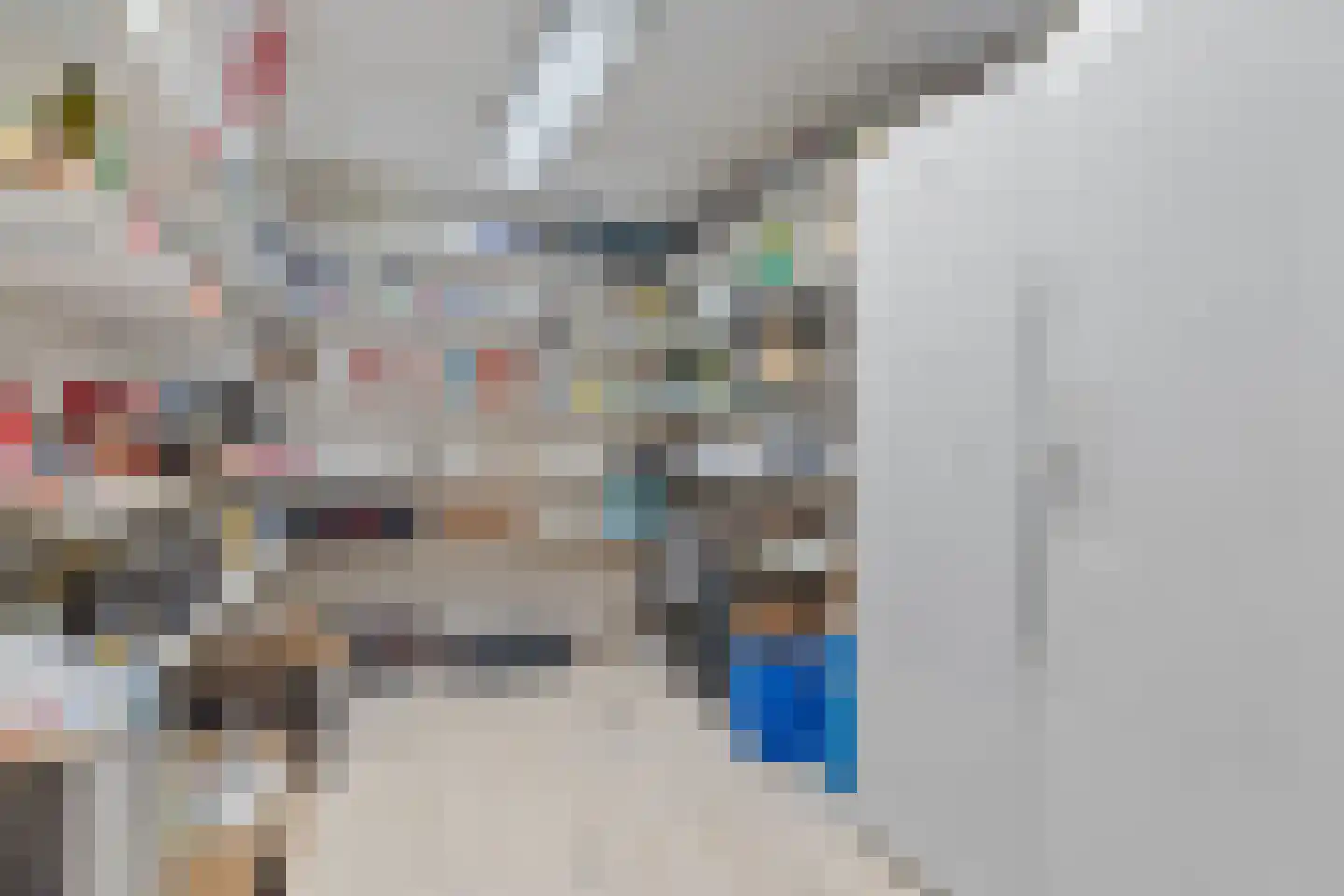 Binnendijk 32 Huissen thumbnail 12