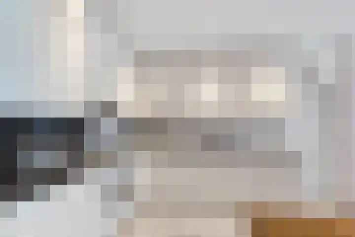 Binnendijk 32 Huissen thumbnail 14