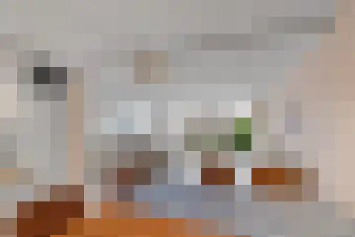 Binnendijk 32 Huissen thumbnail 15