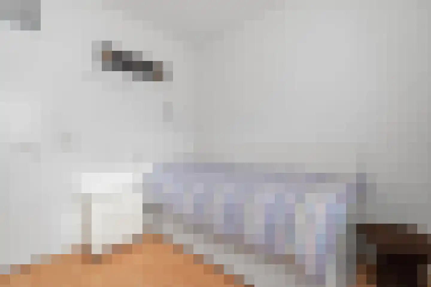Binnendijk 32 Huissen thumbnail 20