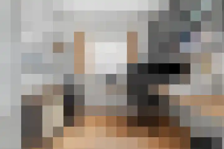 Binnendijk 32 Huissen thumbnail 22