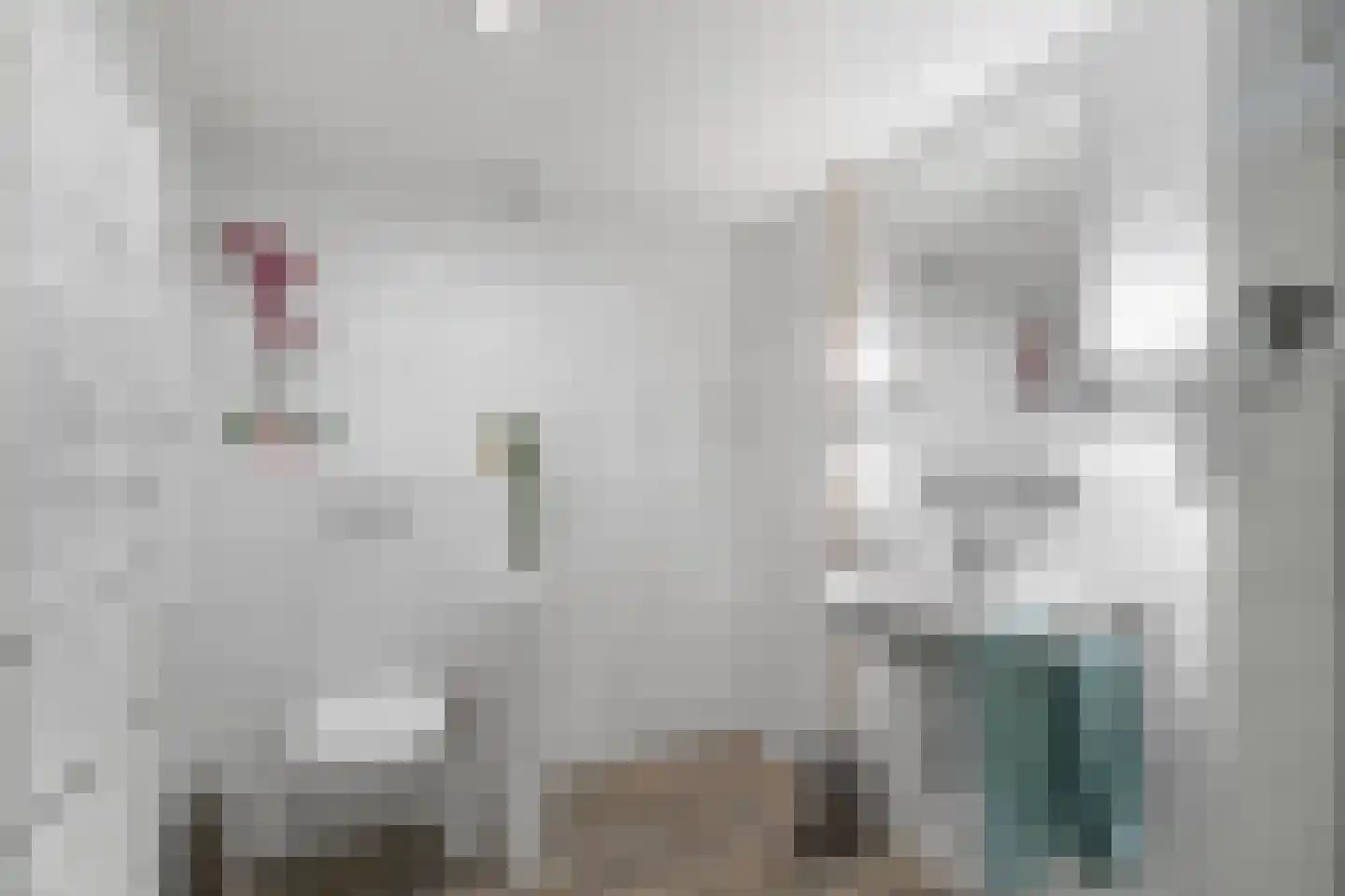 Binnendijk 32 Huissen thumbnail 24