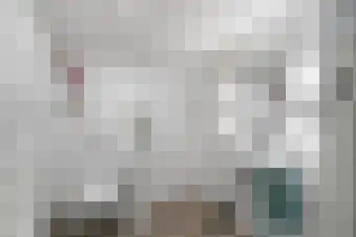 Binnendijk 32 Huissen thumbnail 24