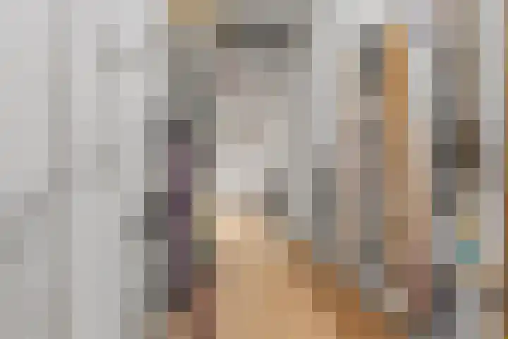 Binnendijk 32 Huissen thumbnail 30