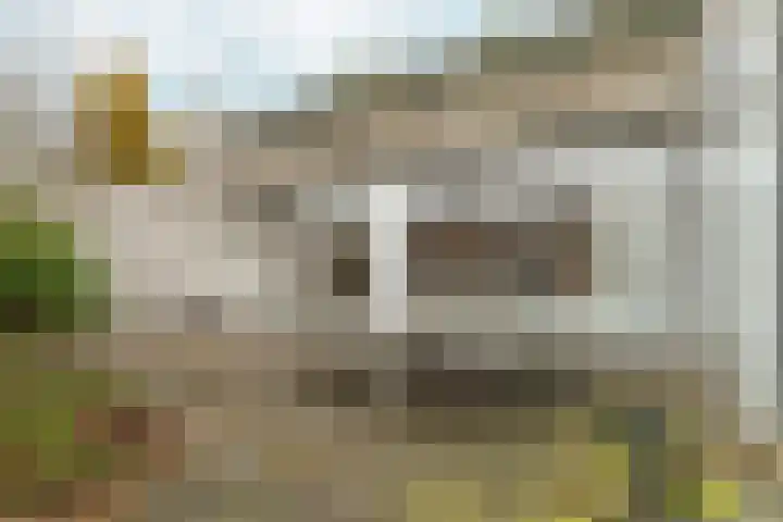 Binnendijk 32 Huissen thumbnail 32