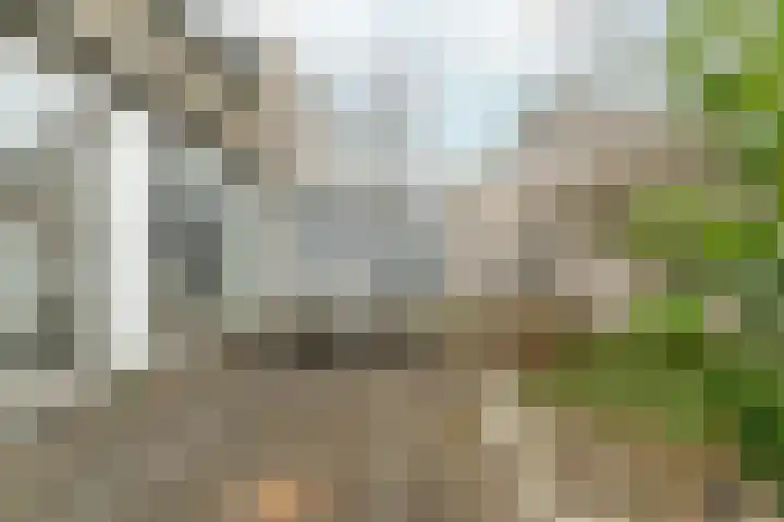Binnendijk 32 Huissen thumbnail 33