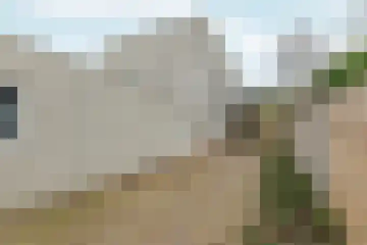 Binnendijk 32 Huissen thumbnail 35
