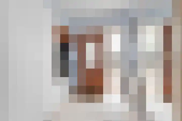 Binnendijk 32 Huissen thumbnail 5