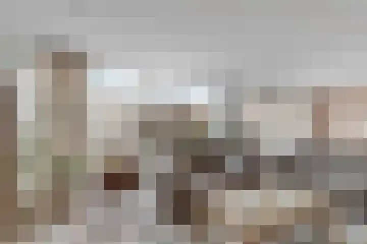 Binnendijk 32 Huissen thumbnail 6