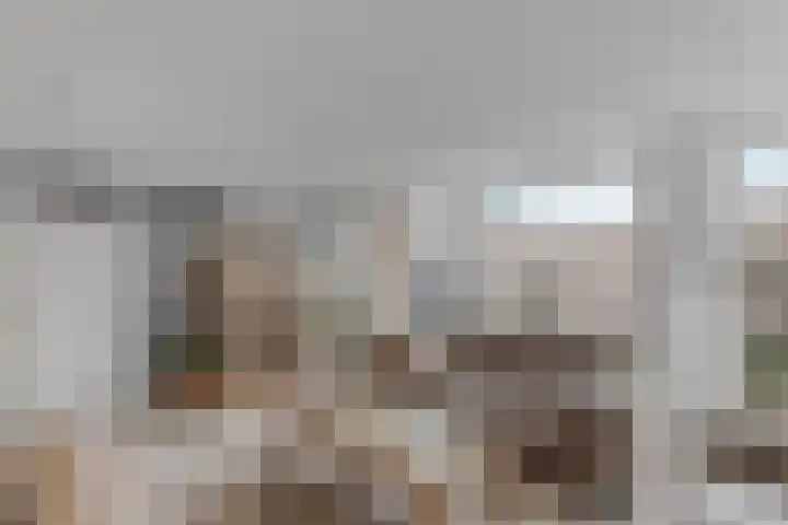 Binnendijk 32 Huissen thumbnail 7