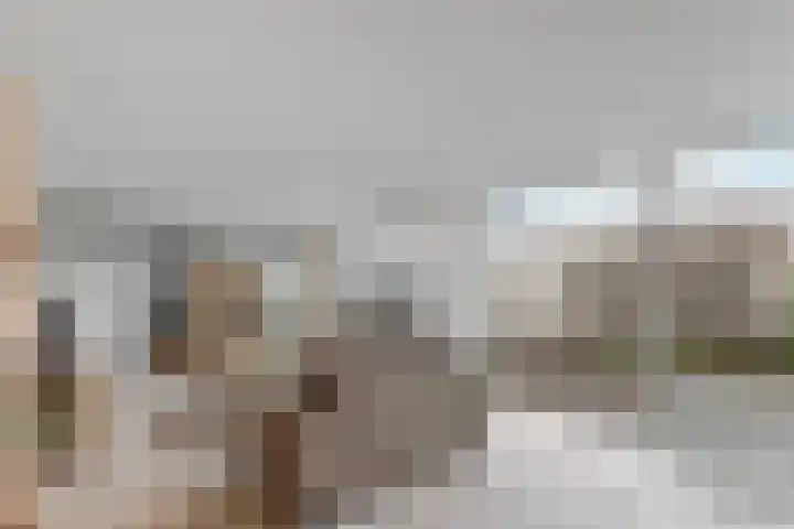 Binnendijk 32 Huissen thumbnail 8