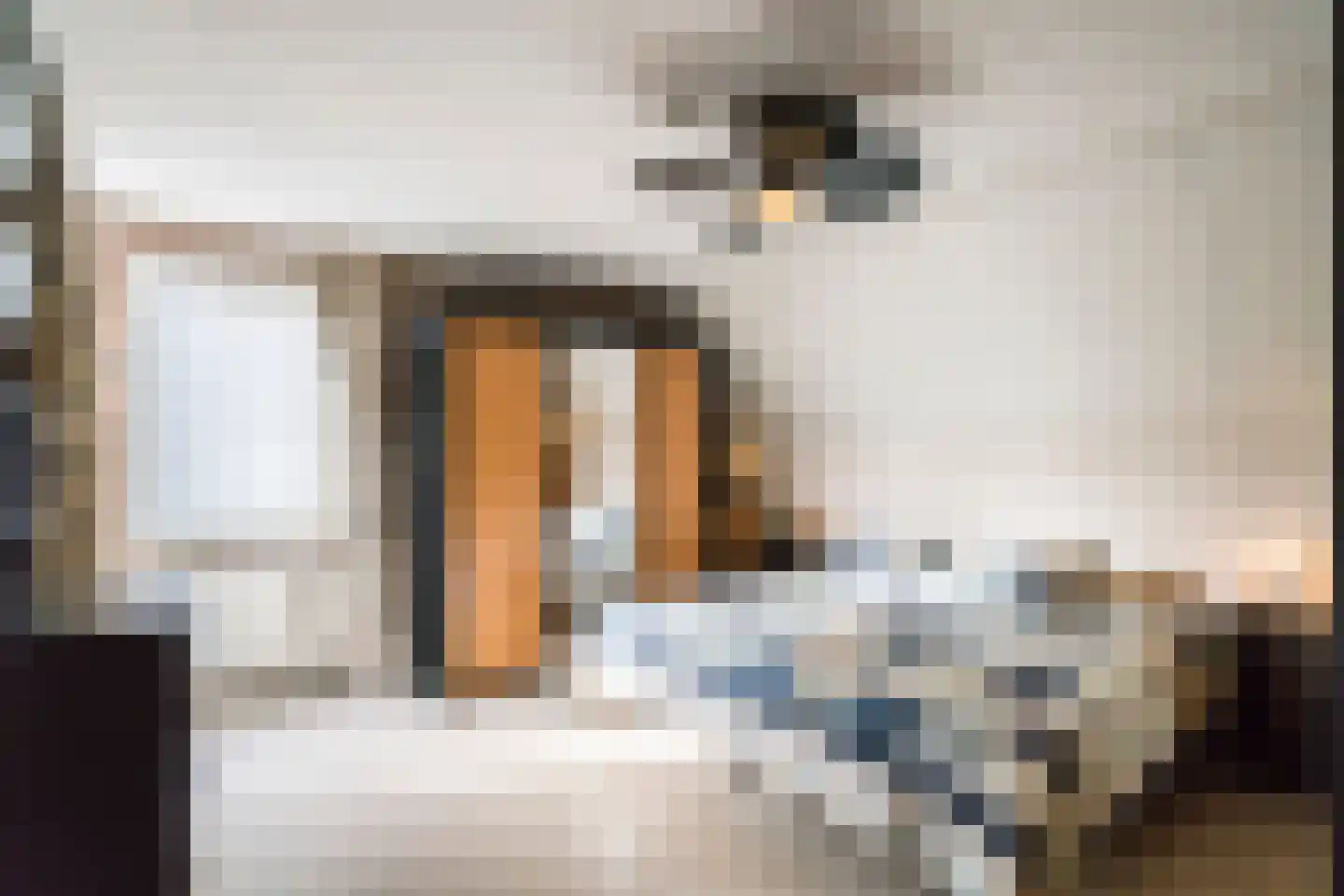 Binnendijk 5 Oss thumbnail 14