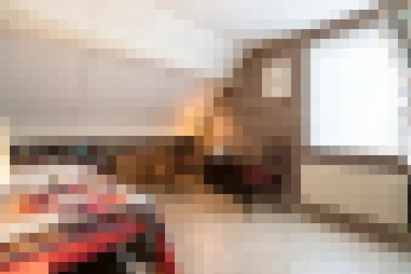 Binnendijk 5 Oss thumbnail 15