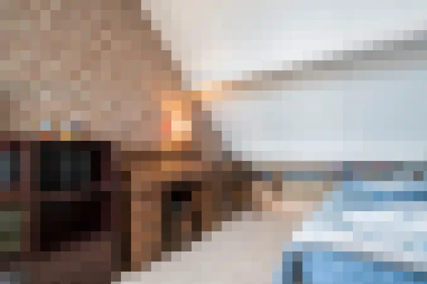 Binnendijk 5 Oss thumbnail 16