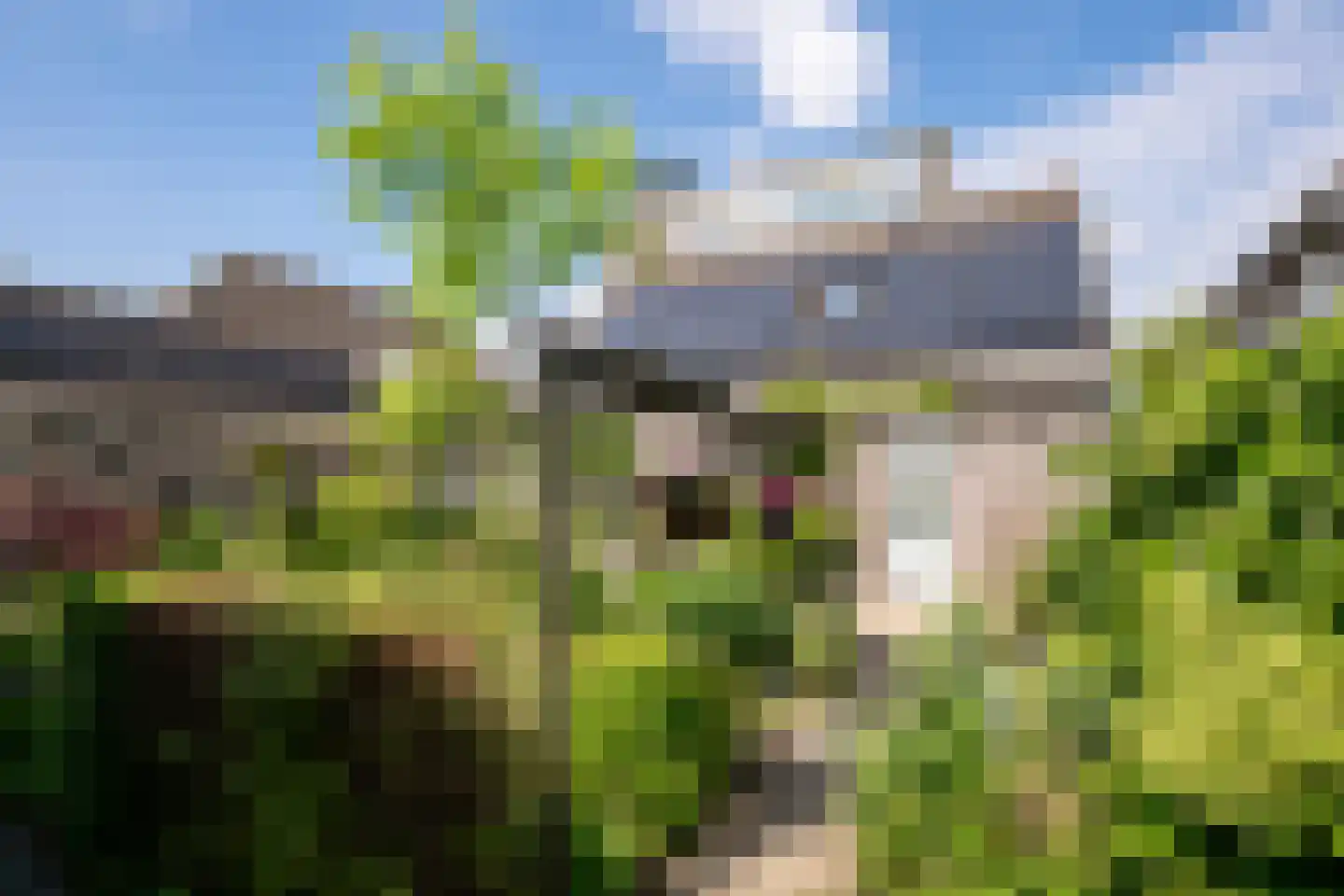 Binnendijk 5 Oss thumbnail 22