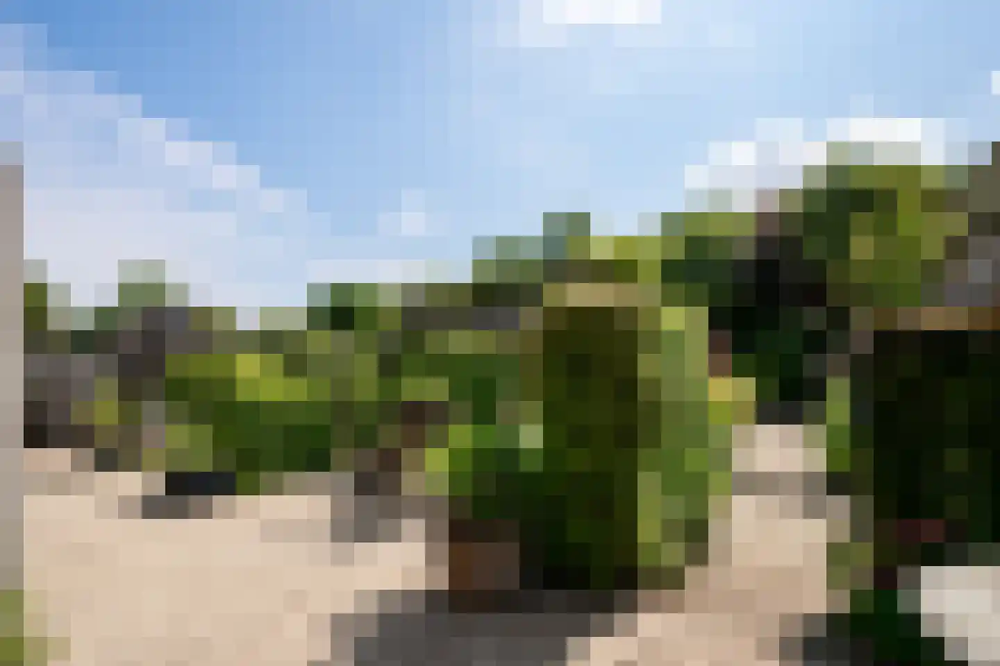 Binnendijk 5 Oss thumbnail 23
