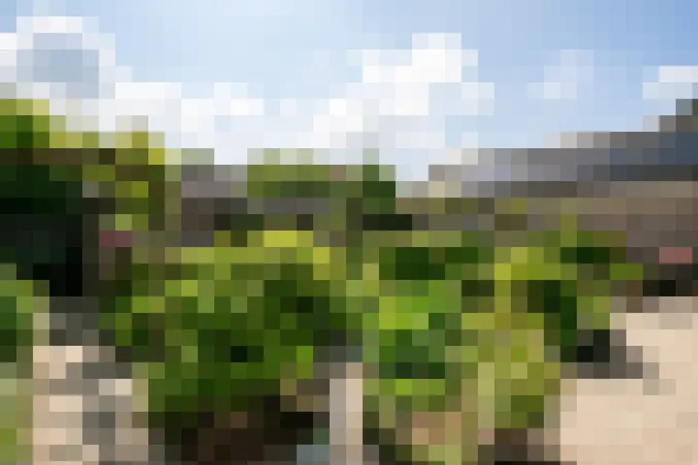 Binnendijk 5 Oss thumbnail 24