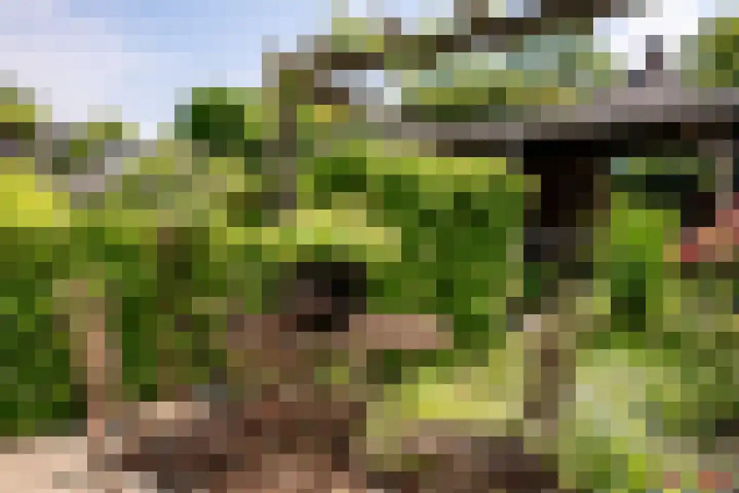 Binnendijk 5 Oss thumbnail 25