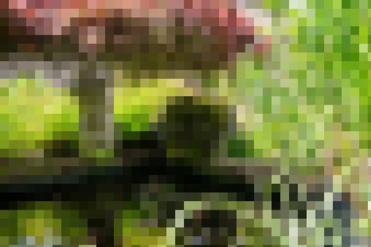 Binnendijk 5 Oss thumbnail 26