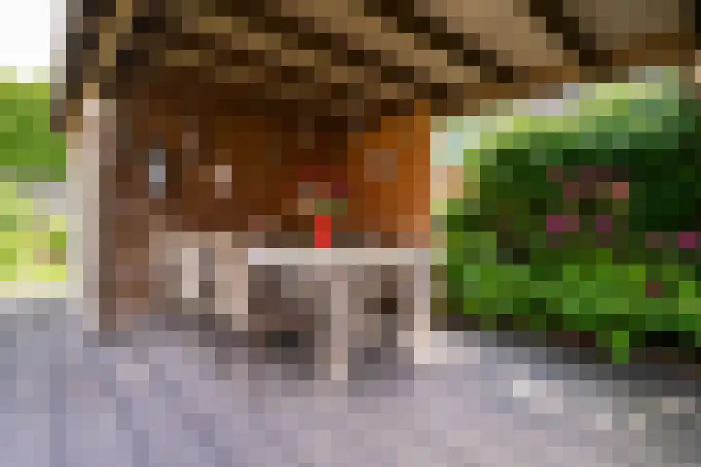 Binnendijk 5 Oss thumbnail 27