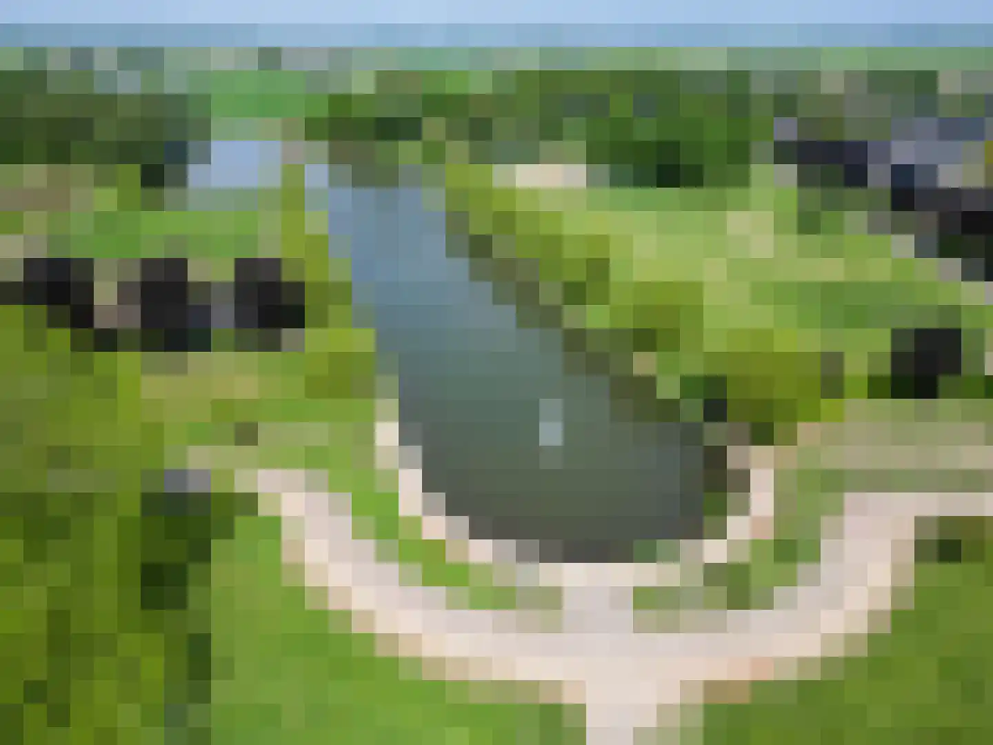 Binnendijk 5 Oss thumbnail 30