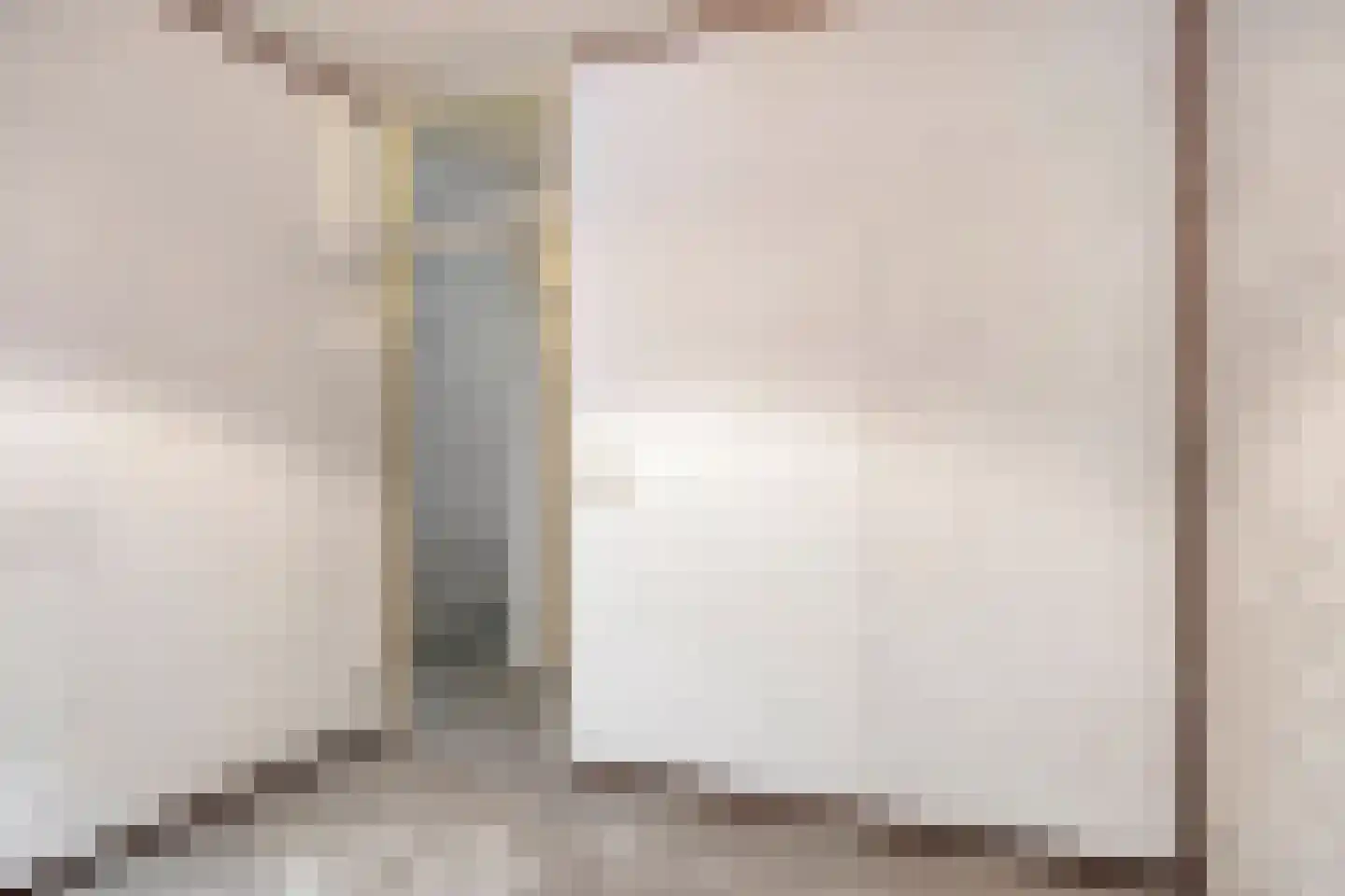 Binnendijk 52 Huissen thumbnail 24