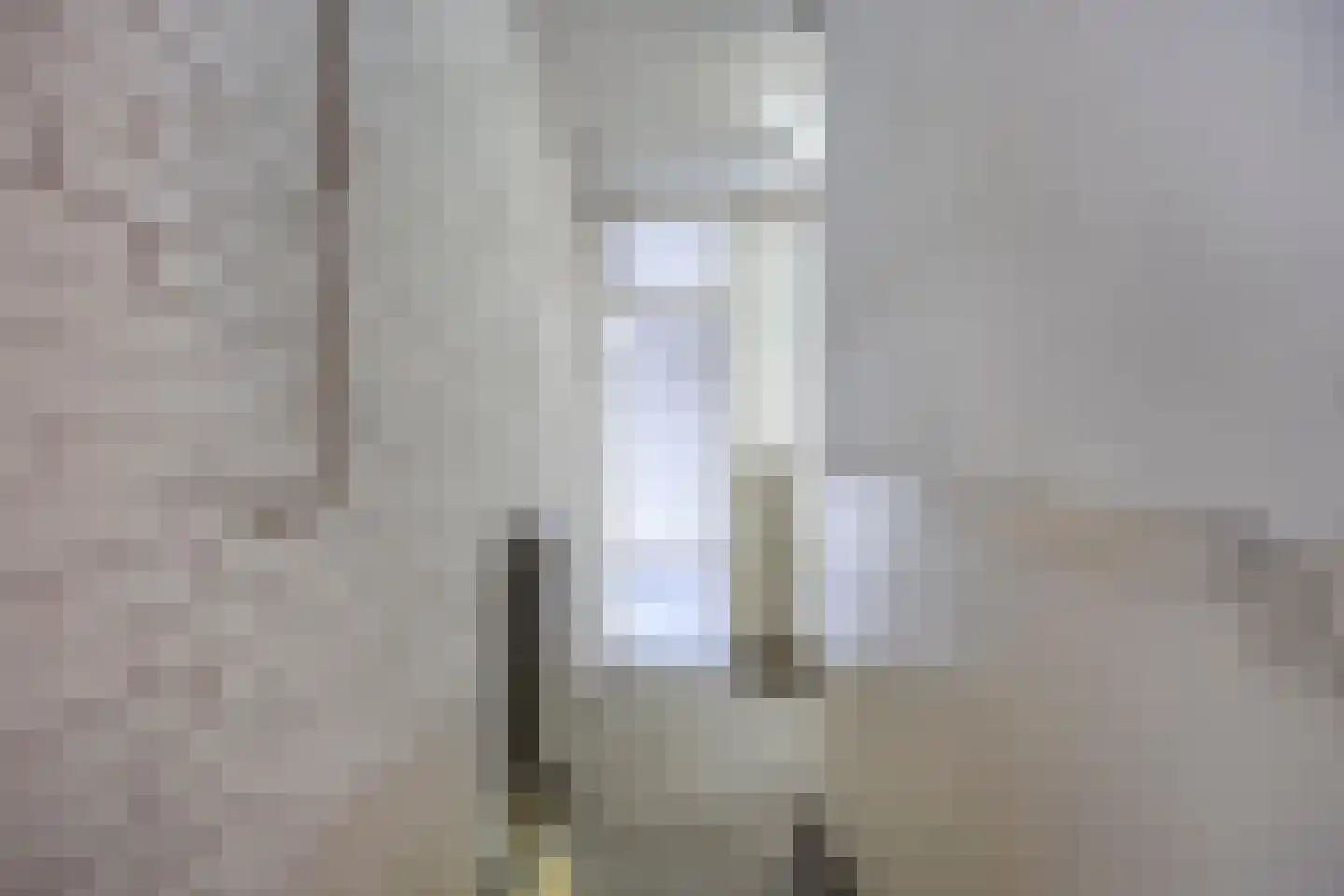 Binnendijk 52 Huissen thumbnail 27