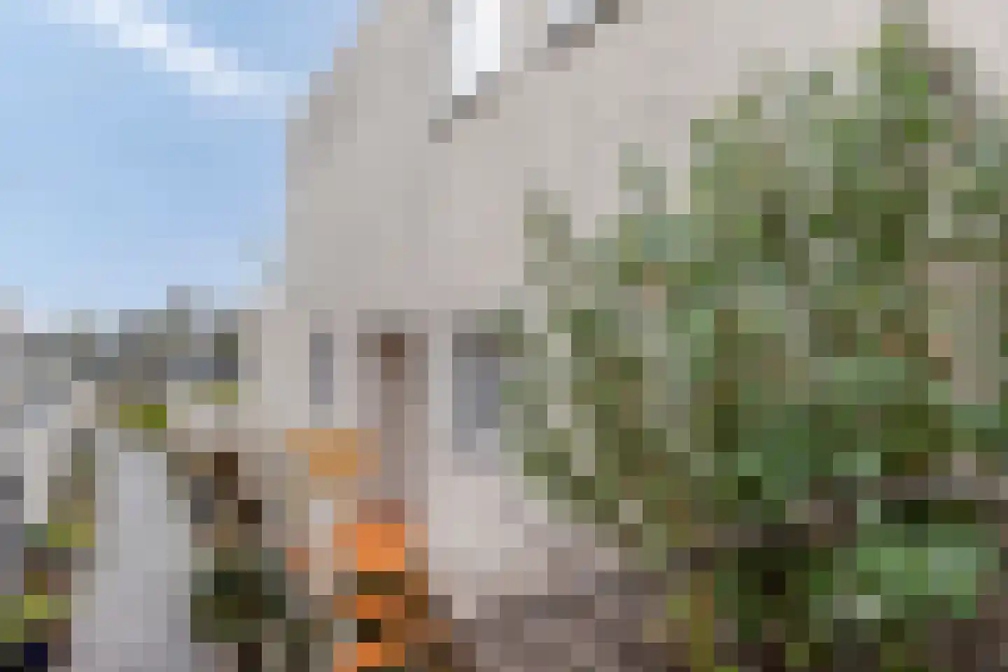 Binnendijk 52 Huissen thumbnail 4