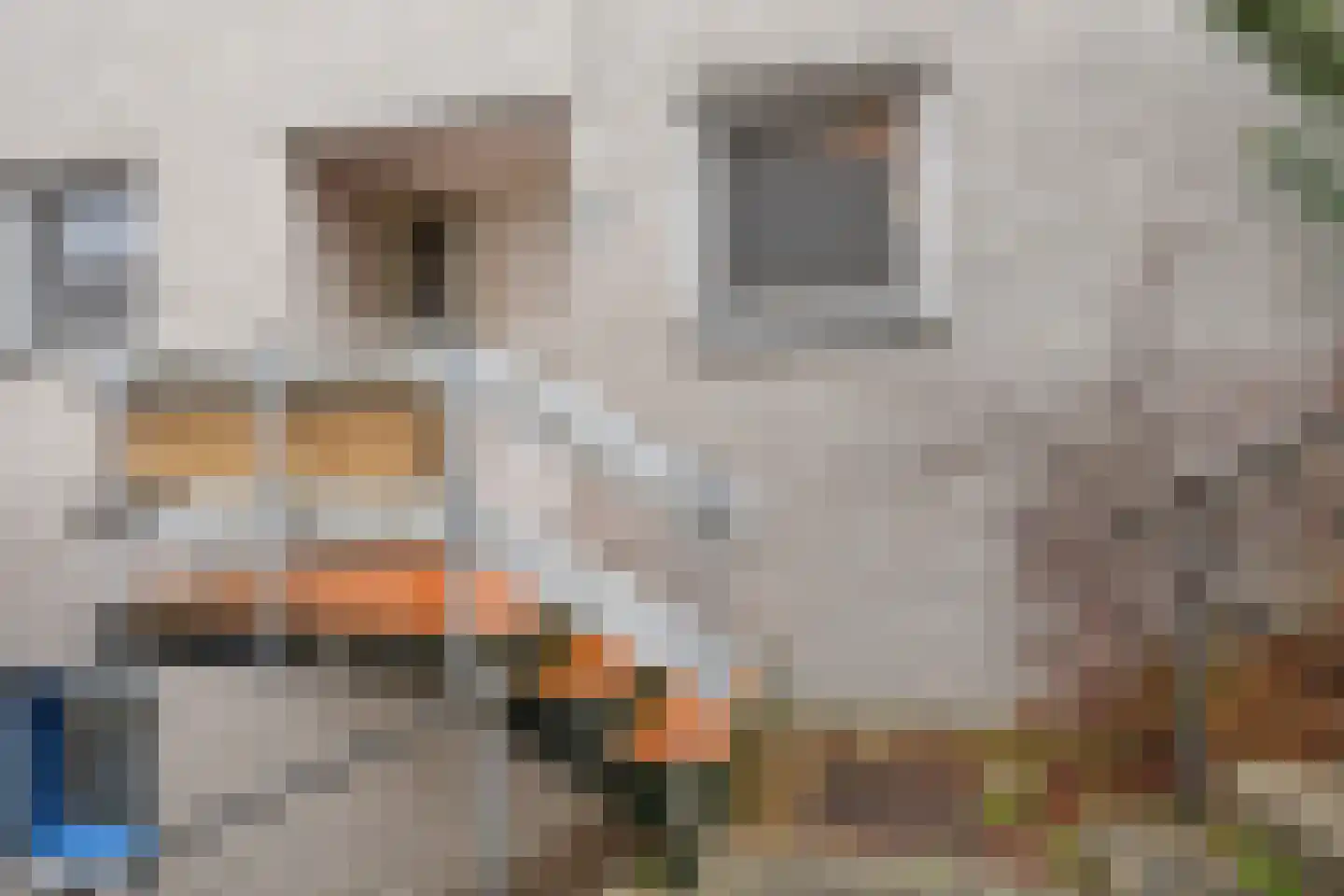 Binnendijk 52 Huissen thumbnail 5