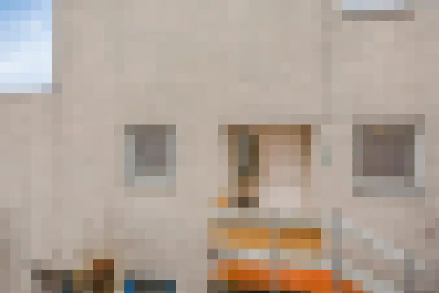 Binnendijk 52 Huissen thumbnail 6