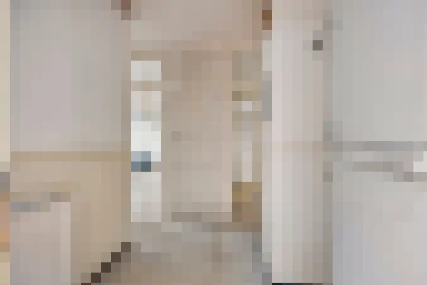 Binnendijk 52 Huissen thumbnail 7