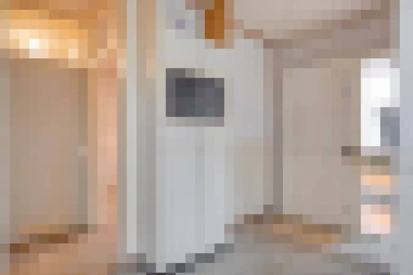 Binnendijk 52 Huissen thumbnail 8