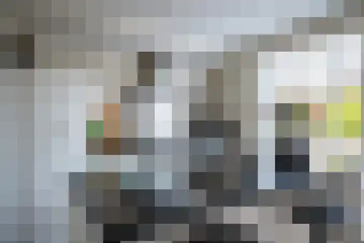 Binnendijkshof 10 Ruinerwold thumbnail 10