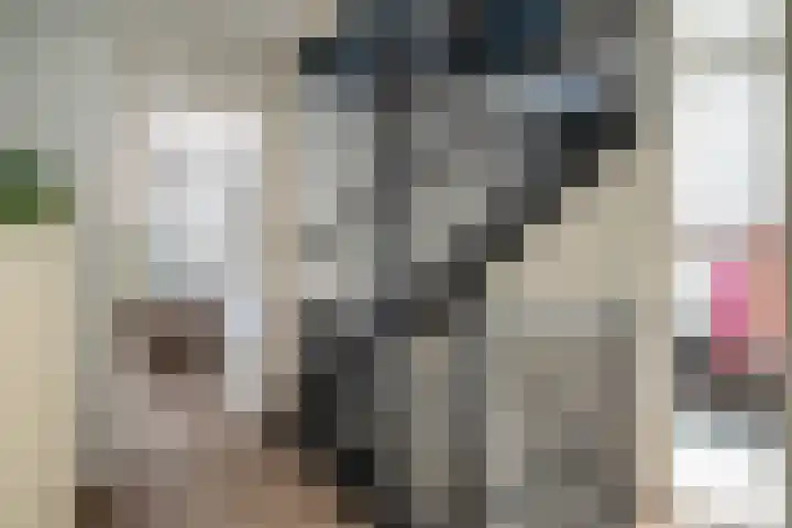 Binnendijkshof 10 Ruinerwold thumbnail 14