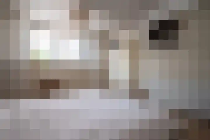 Binnendijkshof 10 Ruinerwold thumbnail 19