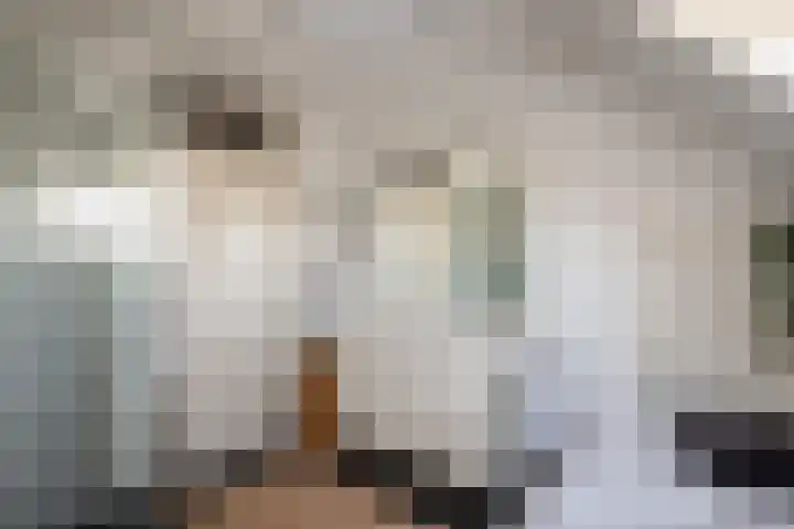 Binnendijkshof 10 Ruinerwold thumbnail 20