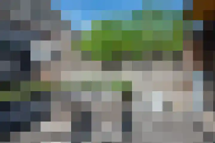 Binnendijkshof 10 Ruinerwold thumbnail 27