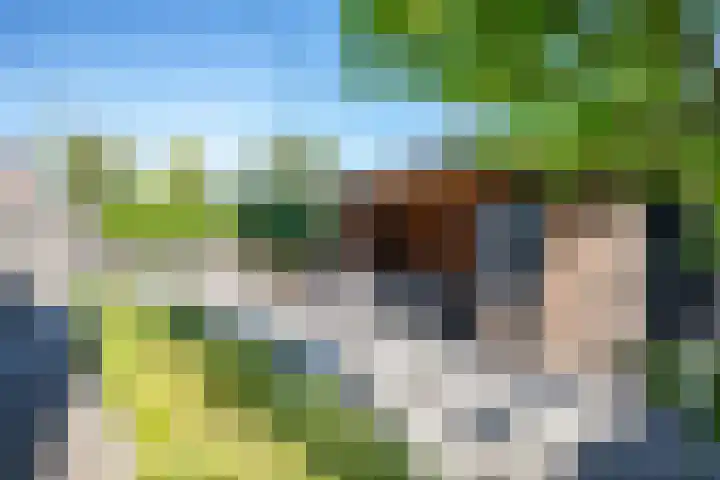 Binnendijkshof 10 Ruinerwold thumbnail 28